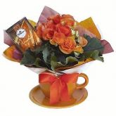 Flores- Begonias e Caneca